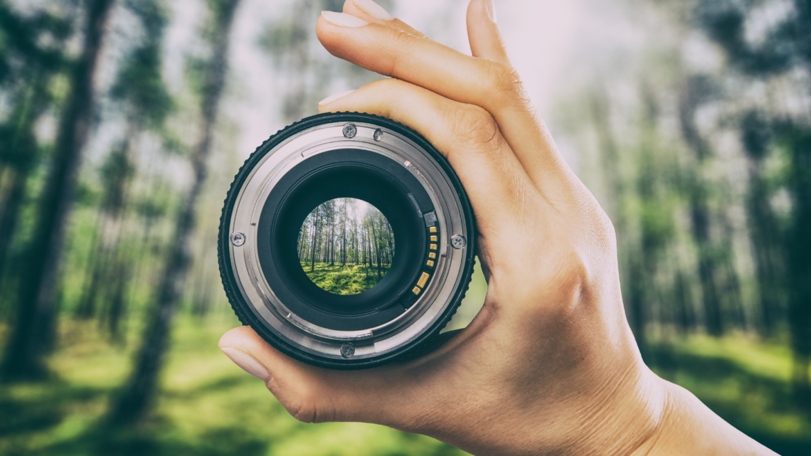 How to Choose Camera Lenses: A Clear Guide to Focal Lengths, Apertures, and Use Cases
