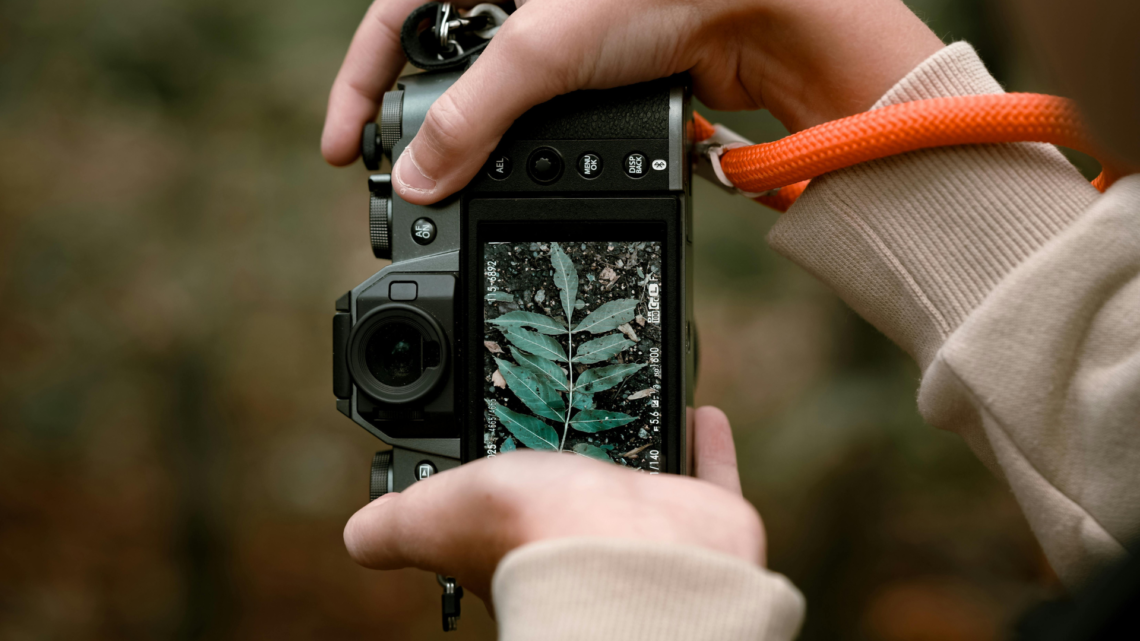 How to Focus Camera Properly: A Confident Guide to Precise Autofocus and Manual Techniques