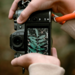 How to Focus Camera Properly: A Confident Guide to Precise Autofocus and Manual Techniques